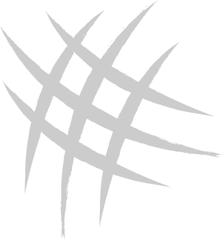 Scratch vector