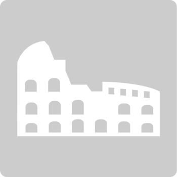 Rome Colosseum  vector