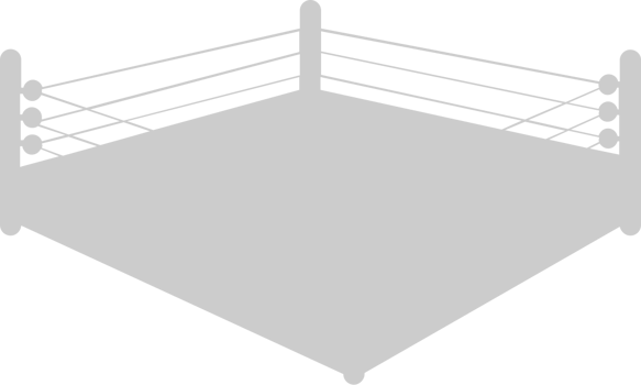Wrestling arena ring vector