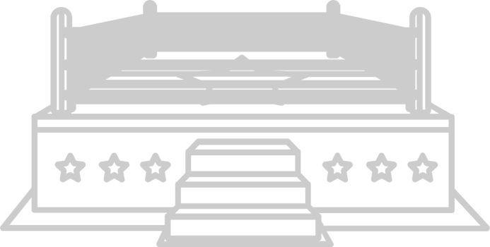 Wrestling arena ring vector