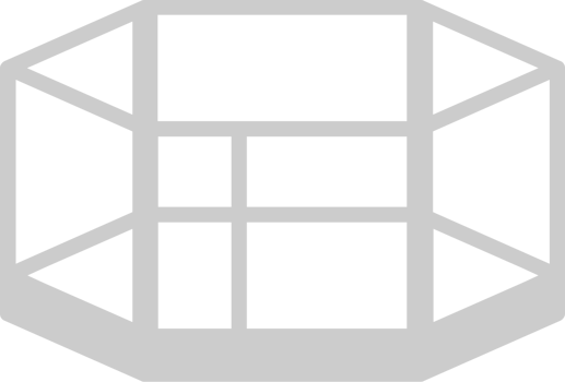 Wrestling arena ring vector