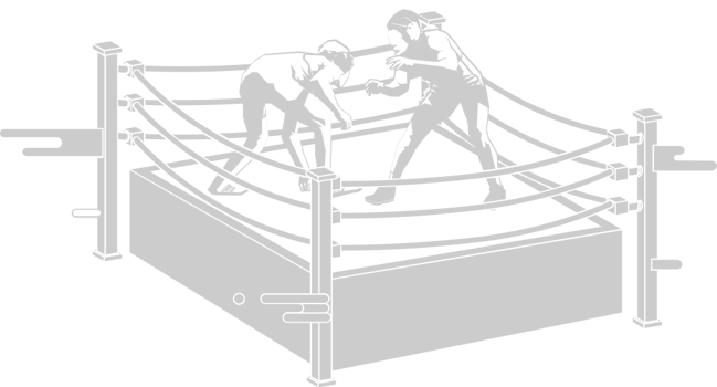 Wrestling illustration vector