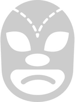 Wrestling mask vector