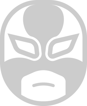 Wrestling mask vector