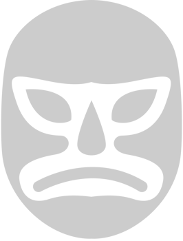 Wrestling mask vector