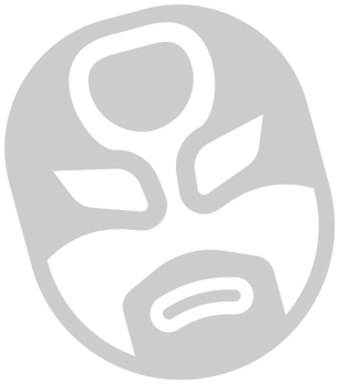 Wrestling mask vector