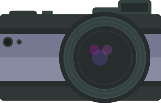 Camera vector
