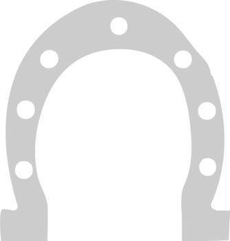 Vegas shoe horse vector
