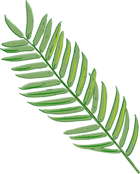 Palm vector