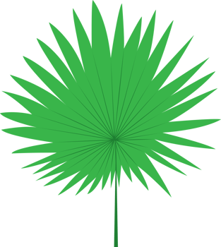 Palm vector