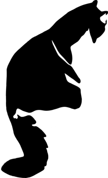 Cat vector