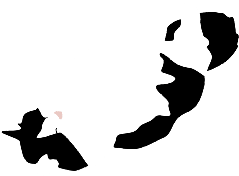 Cat vector
