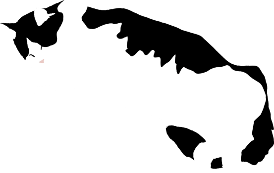 Cat vector