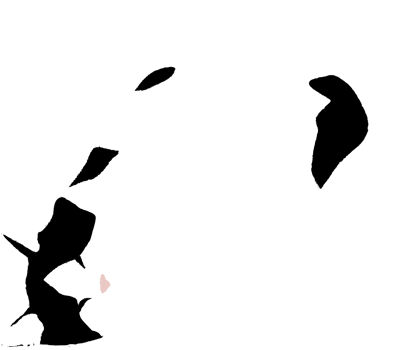 Cat vector