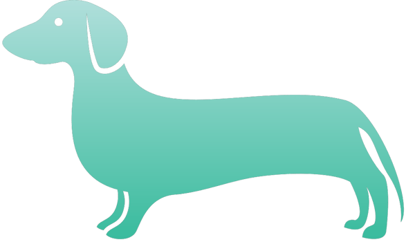 Dog vector