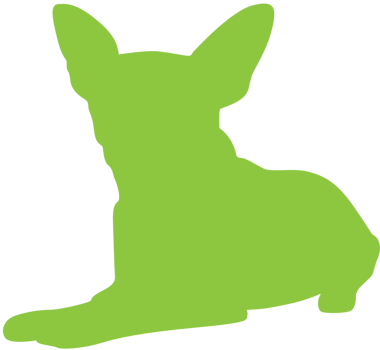 Dog vector