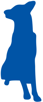 Dog vector