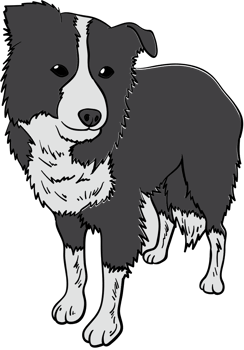 Dog vector