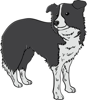 Dog vector