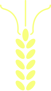 Wheat vector