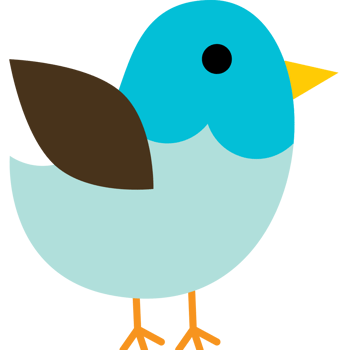 Bird vector