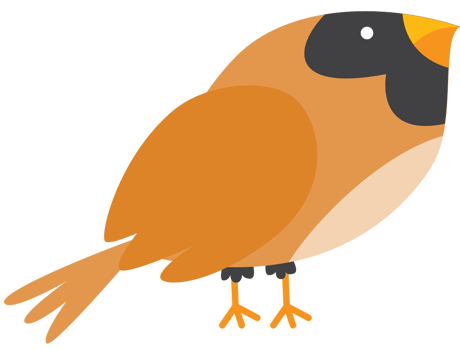 Bird vector
