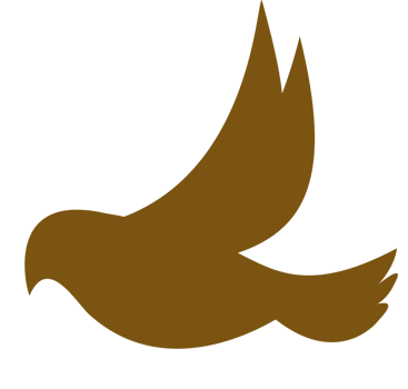 Bird vector