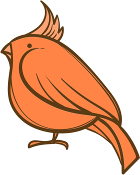 Bird vector