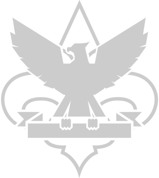 Eagle Scout vector