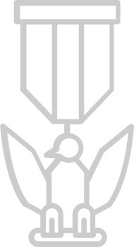 Eagle Scout vector