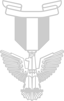 Eagle Scout vector