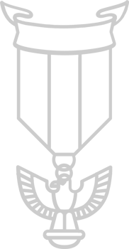 Eagle Scout vector