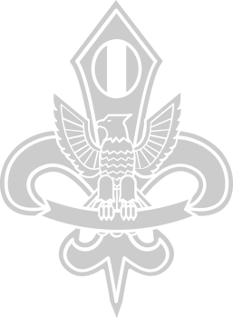 Eagle Scout vector