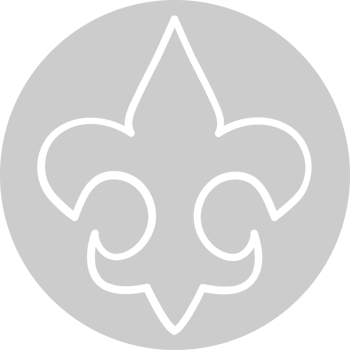 Scout fleur de lis vector