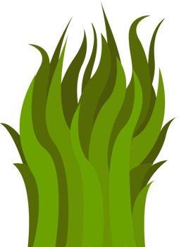Grass vector
