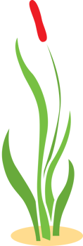 Grass vector