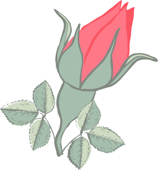 Rose vector