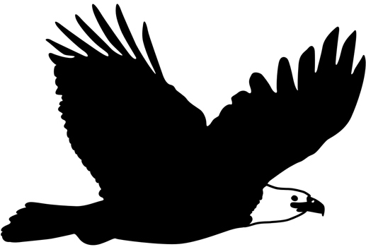 Eagle vector
