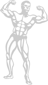 Muscle men shading vector