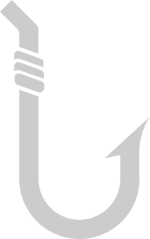 Hook vector