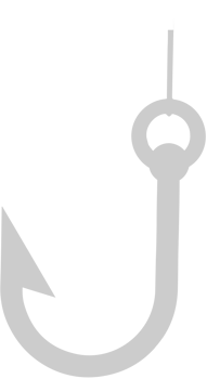 Hook vector