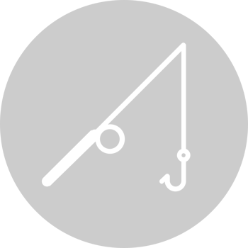 Hook vector