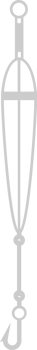 Hook vector