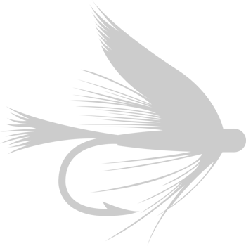 Fly fishing Hook vector