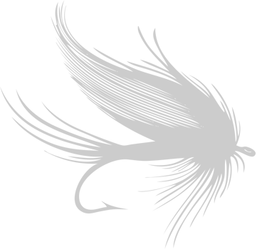 Fly fishing Hook vector