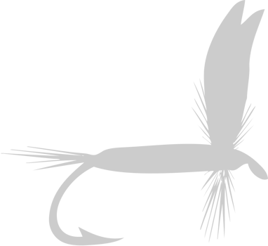 Fly fishing Hook vector