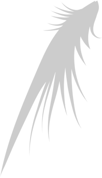 Fly fishing Hook vector