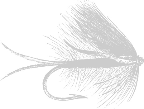 Fly fishing Hook vector