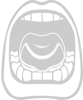 Mouth realistic vector