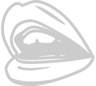 Mouth realistic vector
